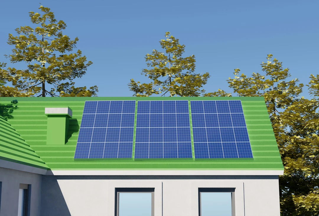 Investing in Green Projects